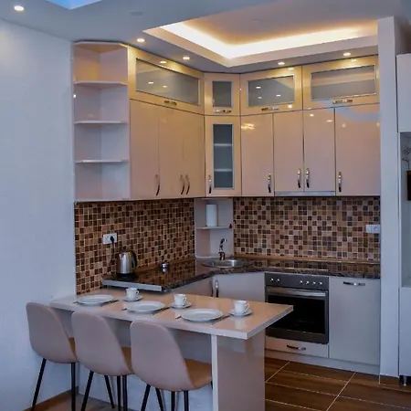 Blagojevic Apartment Banja Koviljaca